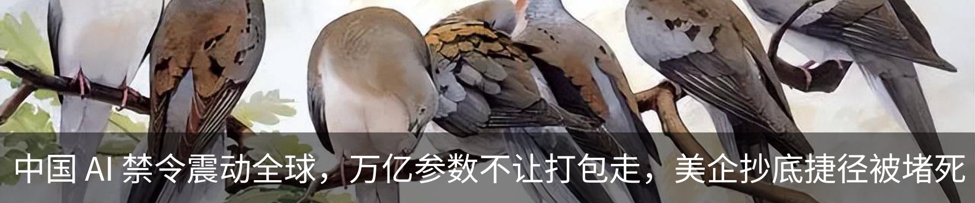 行业资讯